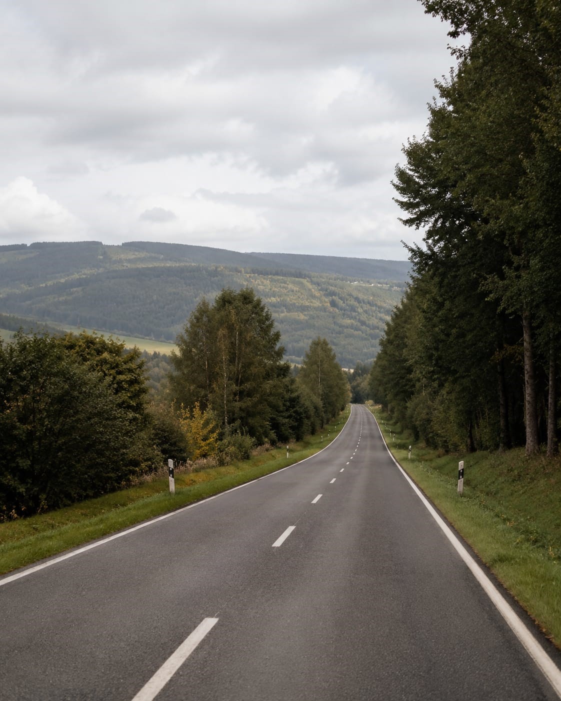 Professioneller Führerschein Service